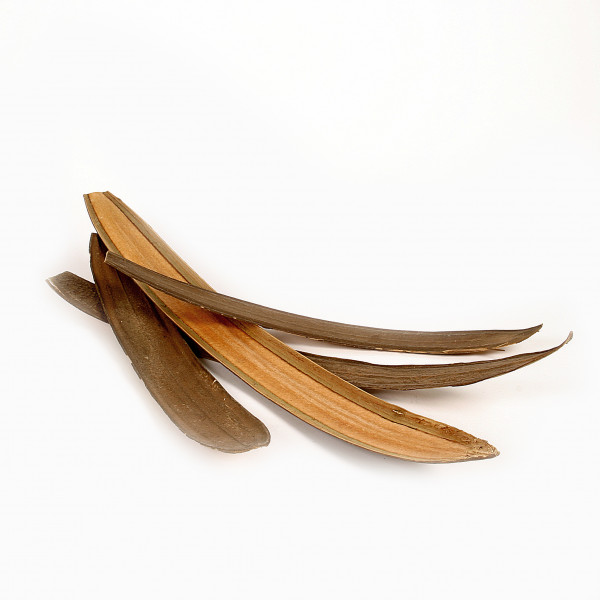 BOATS (Fensterkarton x 100 St. )