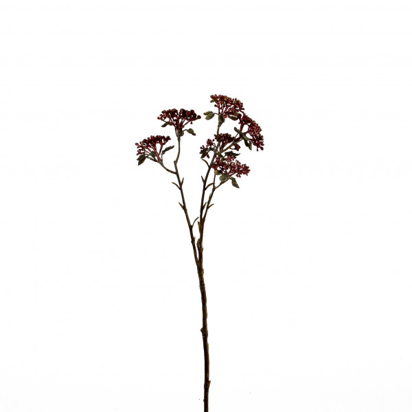 Patrinia-Zweig, 43 cm, mauve- burgund sort.