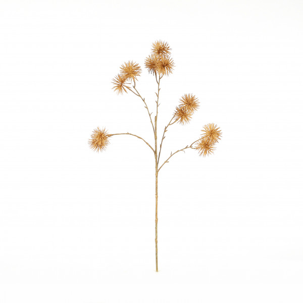 Kugeldistel x 5, 66 cm, beige