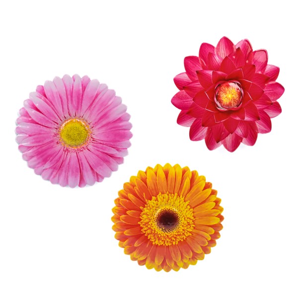 Metall Deko Blüten, mit Magnet 3 Modelle sort, D 10 cm