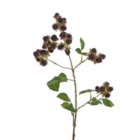 Brombeerzweig L78cm schwarz, mit Früchten Brombeerzweig L78cm schwarz, mit Früchten