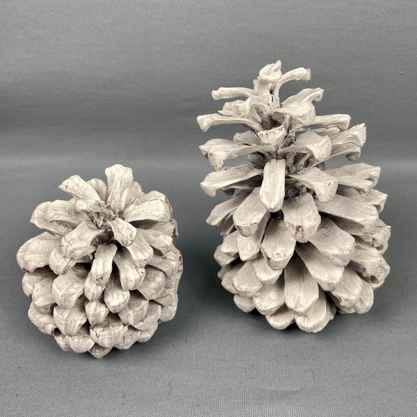 Pine Cone Jumbo 6 Stück Blt 15-20 cm white frosted