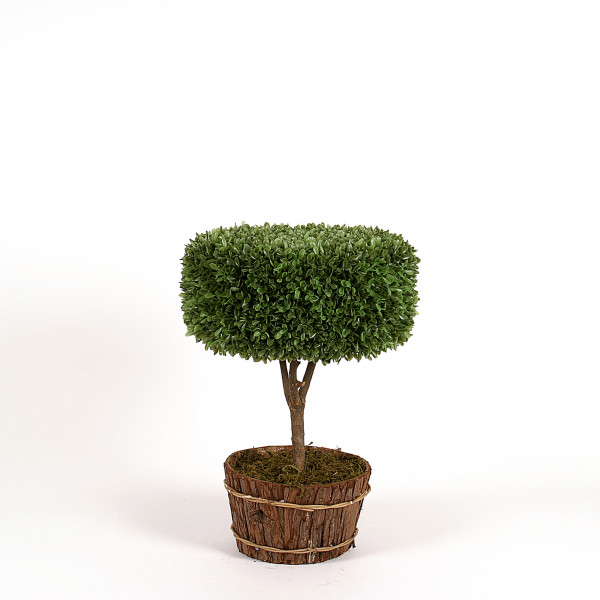 Buchs-Deko-Baum, 45 cm, grün
