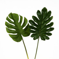 Split-Philo-Blatt, 20 cm, grün Split-Philo-Blatt, 20 cm, grün