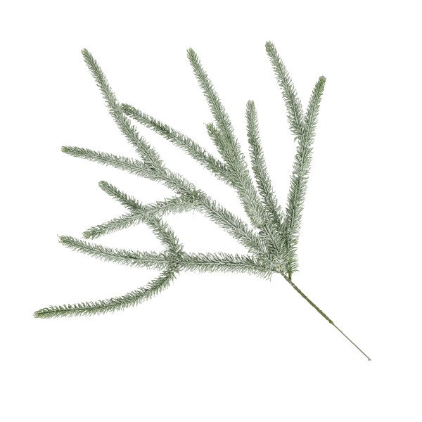 Tannenzweig Kaslo , gefrostet, 53cm
