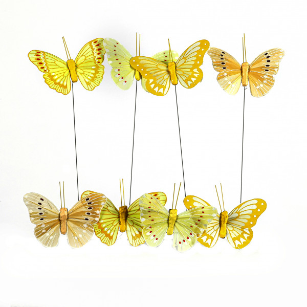 Federschmetterling