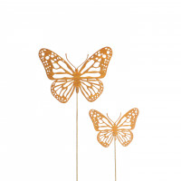 Roststecker Schmetterling Roststecker Schmetterling