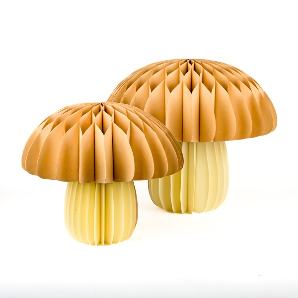 Papier-Pilz