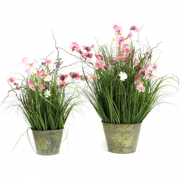 Gras im Zinktopf Sommerwiese , pink