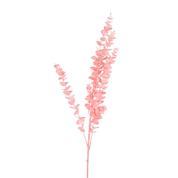 Eucalyptus, 88cm
