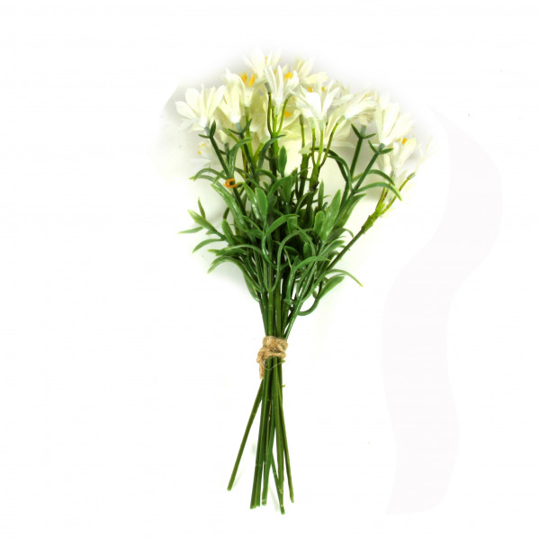 Agapanthus-Bund x 12, 22 cm