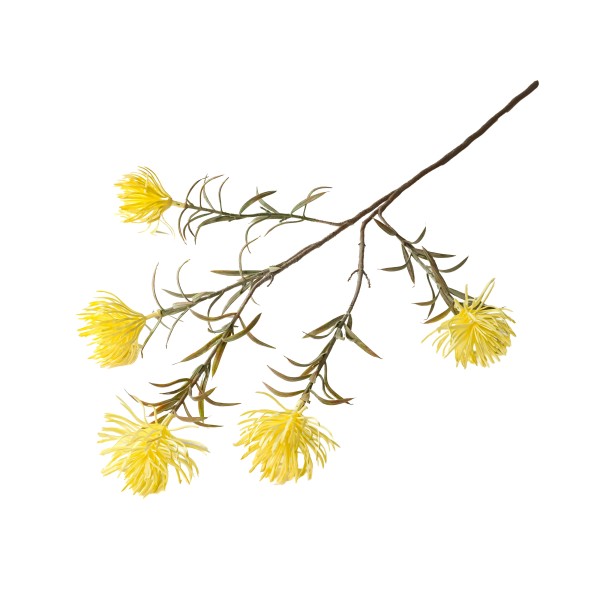 Wild-Distel-Zweig, creme 72 cm