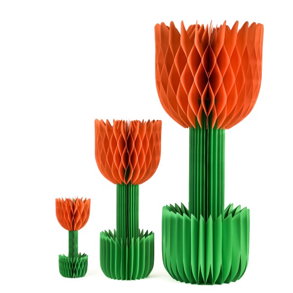 Papier-Tulpe