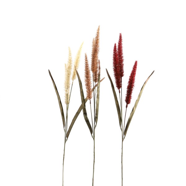 Pennisetum x 3, 94 cm mit Laub