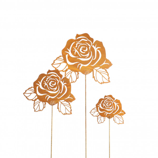 Roststecker englische Rose