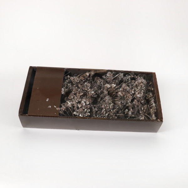 Hogeweed Mixed 400 Gr Tray white washed