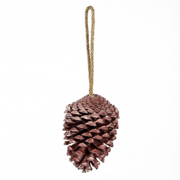 Pinus Maritima gewachst z.Häng en 15cm rose Blt.3 Stück Zapfen
