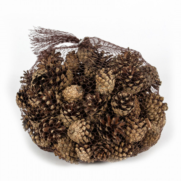Zapfen Pinus Sylvestris 2 KG Blt.natur 1.A Qualität