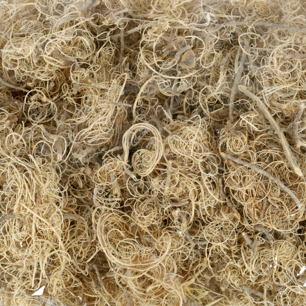 Curly Moos gebleicht (Polybeutel x 500 g