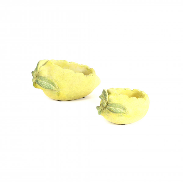 Zement-Zitrone zum bepflanzen, gelb-grün