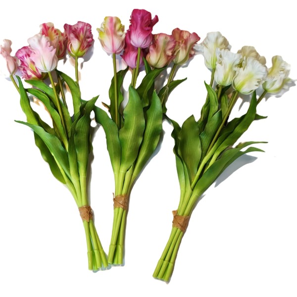 Papageientulpe Groningen , 53cm Bund/5 St.