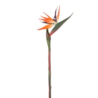 Strelitzie, orange, 84 cm Strelitzie, orange, 84 cm