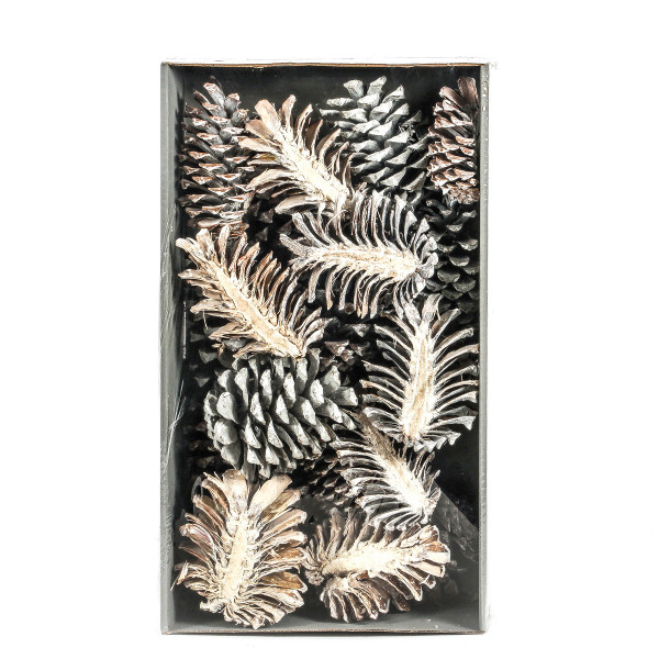 Pinus Maritima Slice Tray x 20 Stück white washed Zapfen