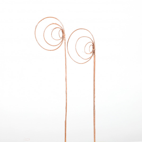 Cane Coil(Fensterkarton x 40 St. ) metallic rose gold
