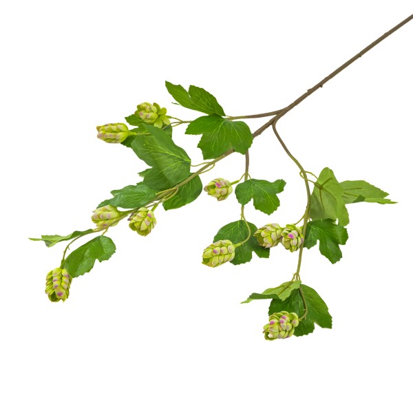 Hopfenzweig, grün, 76 cm