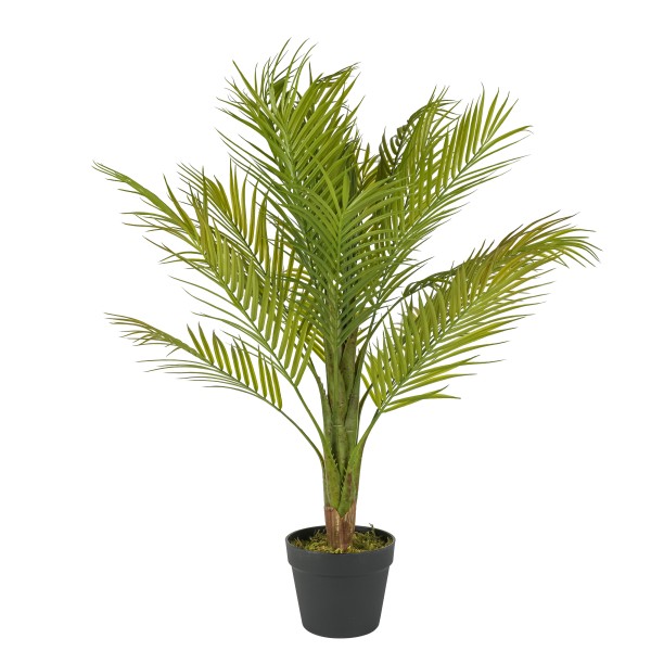 Areca-Palme, getopft, 90cm, grün
