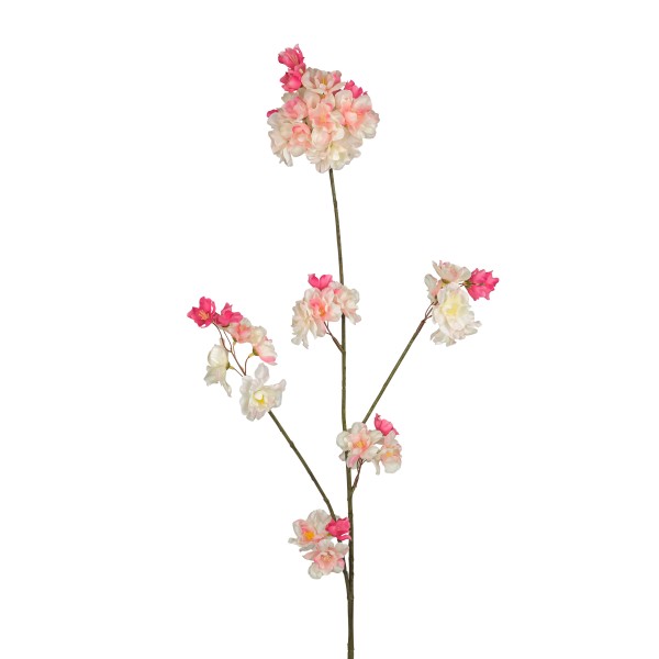 Prunuszweig Malaga , creme-pink 84 cm