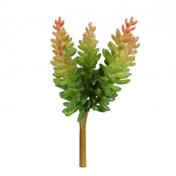 Crassula, 17 cm, grün-mauve