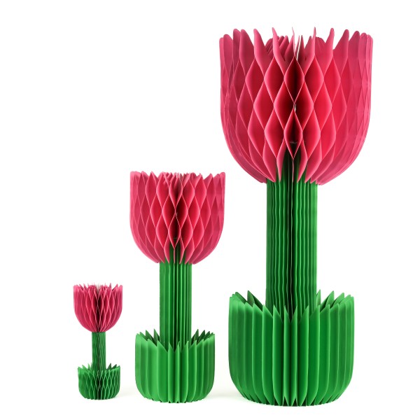 Papier-Tulpe