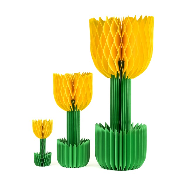 Papier-Tulpe