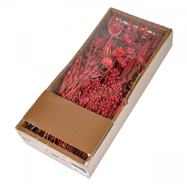Trockenblumen Sortiment 500 Gr. Mixed Dried Flowers rot