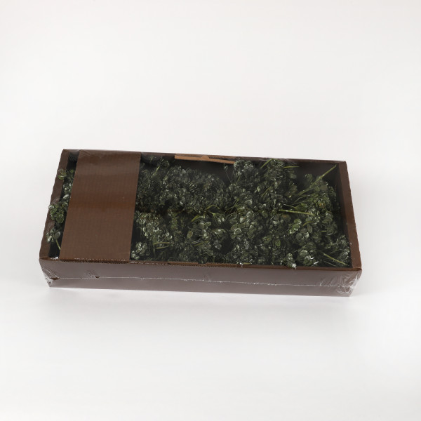 Hogeweed Mixed 400 Gr Tray grün frostet