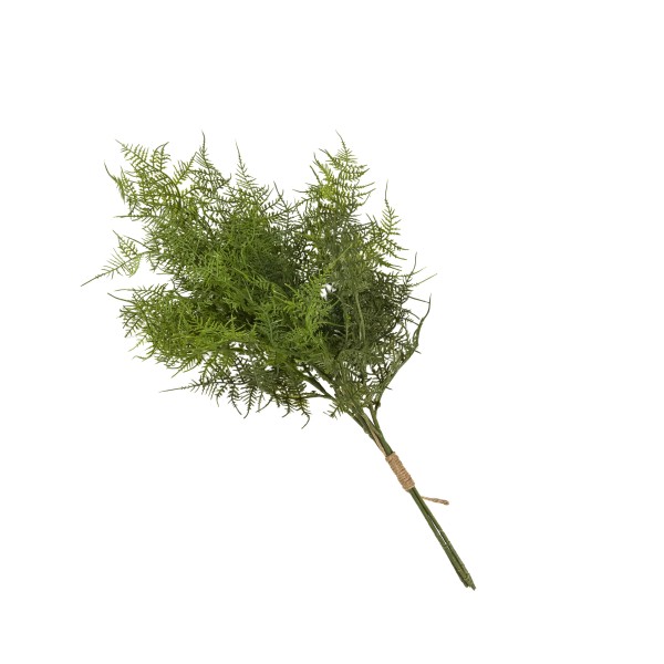 Farnbund, grün, 60cm
