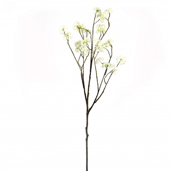 Clematis-Zweig, 131 cm, creme-grün