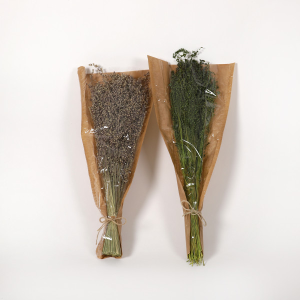 Briza Minor 50-60 cm Bund 100 gr.
