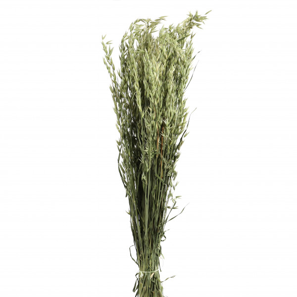 Hafer natur Bund 200 gr