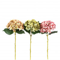 Hortensie, 52 cm Hortensie, 52 cm