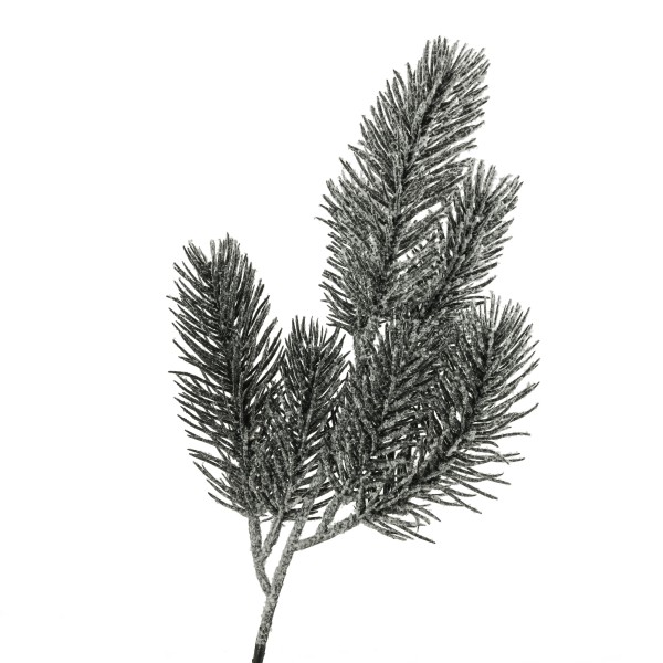 Tannenzweig Hatley , 38cm schwarz-beschneit