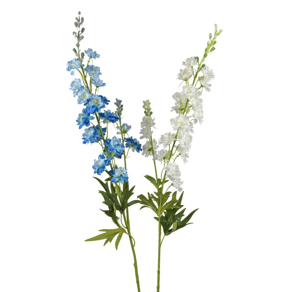 Delphinium Finn , 85 cm