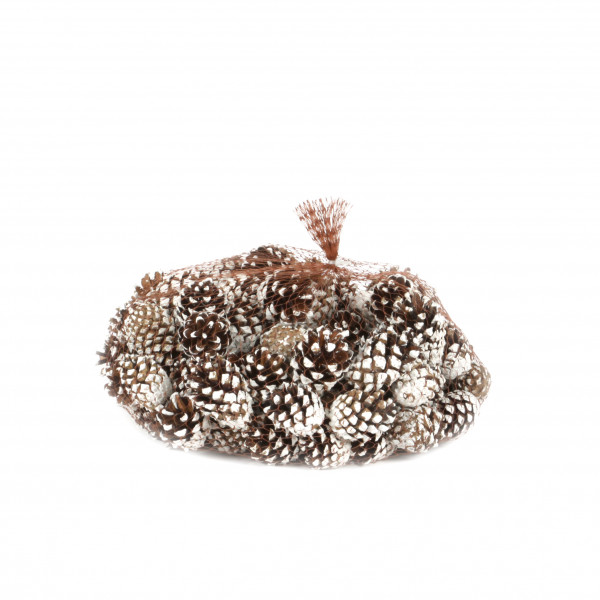 Pinus Sylvestris white tipped 1 KG im Netz