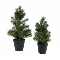 Tannenbäumchen getopft Tannenbäumchen getopft