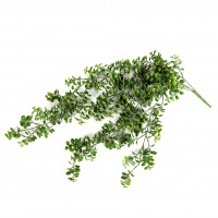 Blatthänger Muschel , 73 cm, grün Blatthänger Muschel , 73 cm, grün