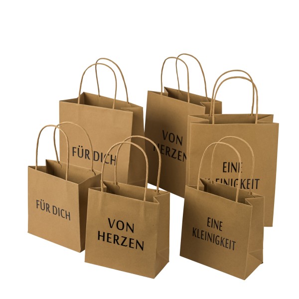 Papier-Geschenk-Tragetasche,natronbraun