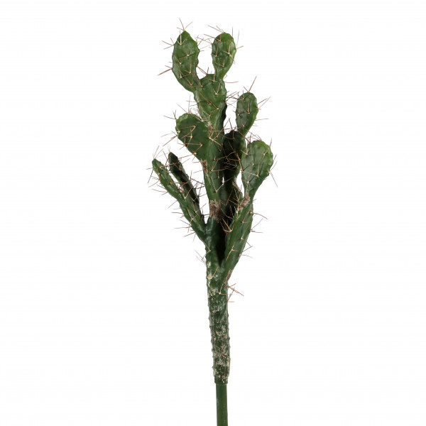 Opuntia, 87 cm, grün