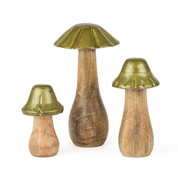 Holz-Pilz