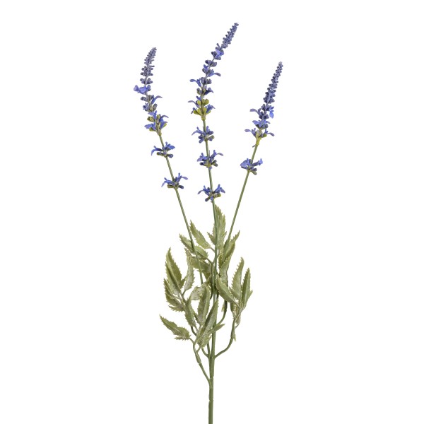 Lavendel Mosel , blau, 66cm